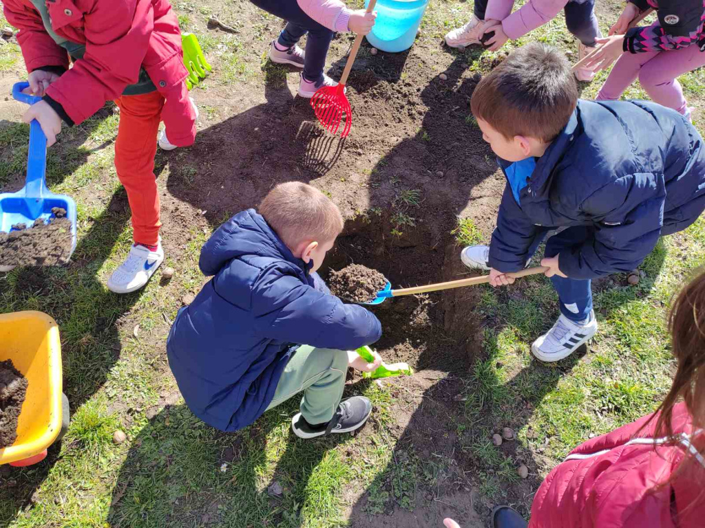 viber slika 2025 03 06 12 05 28 569