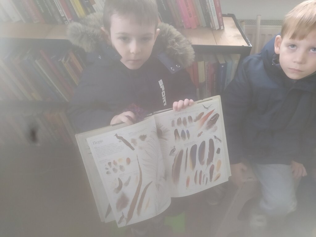 viber slika 2025 11 13 09 56 15 261