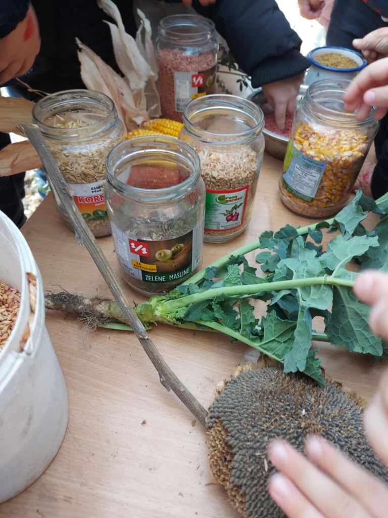 viber slika 2025 10 22 14 03 04 266