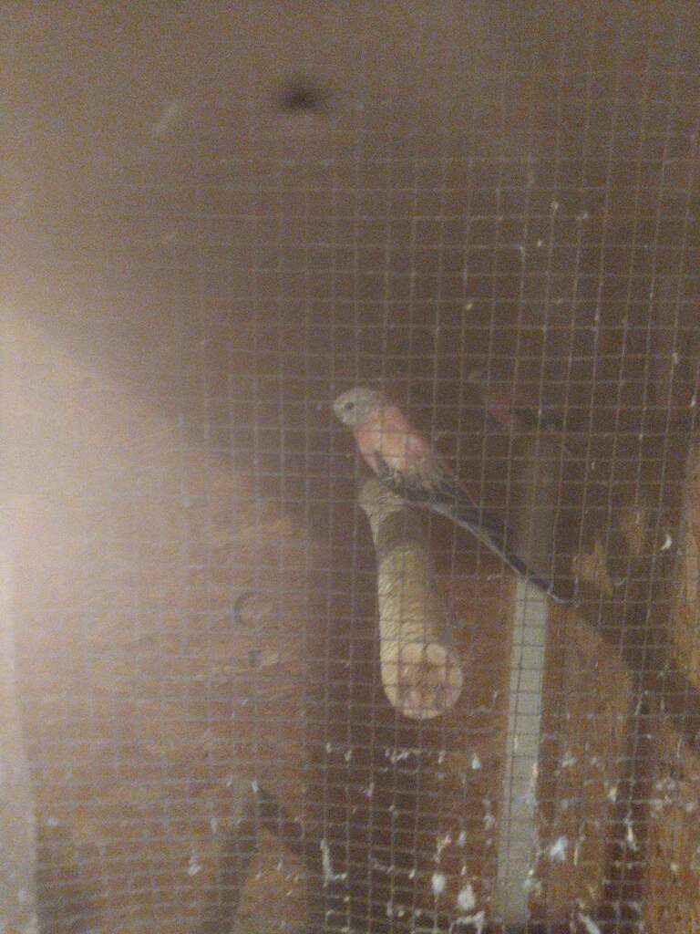 viber slika 2025 11 10 12 11 48 881