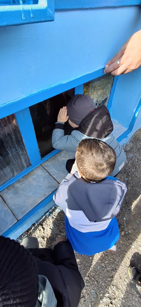 viber slika 2025 10 21 11 44 12 644